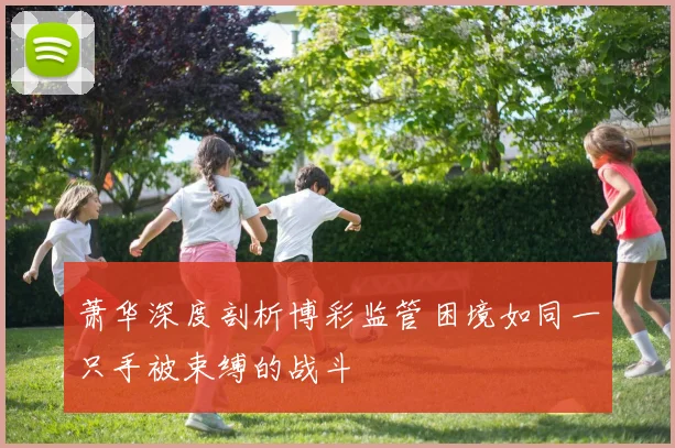 萧华深度剖析博彩监管困境如同一只手被束缚的战斗
