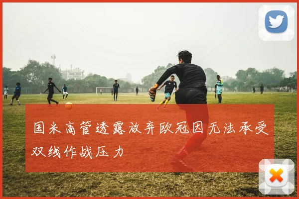 国米高管透露放弃欧冠因无法承受双线作战压力