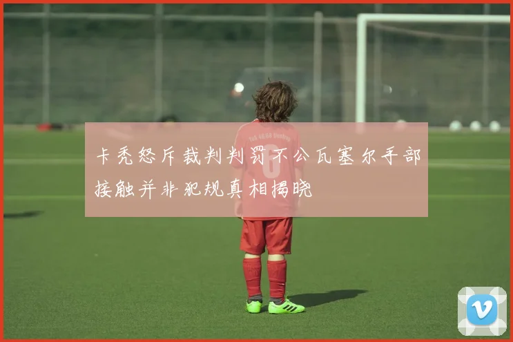 卡秃怒斥裁判判罚不公瓦塞尔手部接触并非犯规真相揭晓
