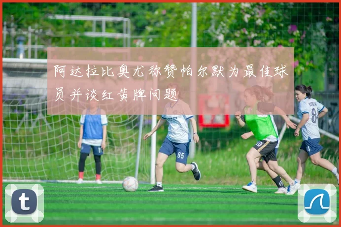 阿达拉比奥尤称赞帕尔默为最佳球员并谈红黄牌问题
