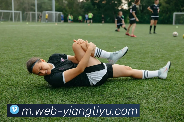 意昂体育APP 高清赛事图